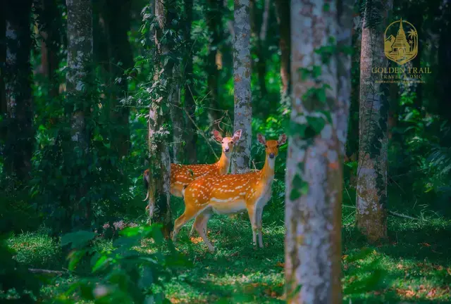 Cuc Phuong Wildlife & Village Tour: 3-Day Nature & Culture Immersion